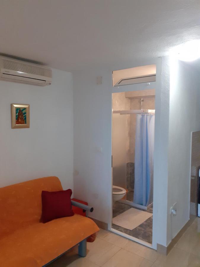 Apartment Andrijasevic