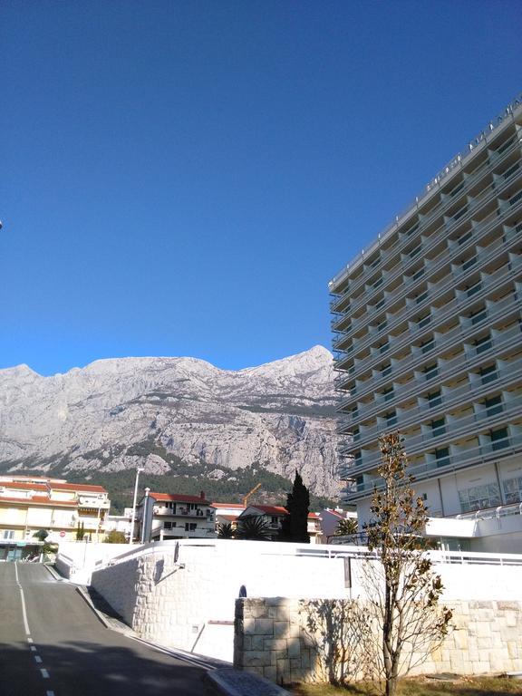 Andrijasevic Apartment